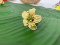 Vente en gros 5 CM EVA Foamfoam puakenikeni fleur cheveux pic artificiel Hawaii danse fête fleur décorative femmes accessoires