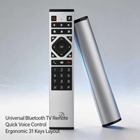 Control Remoto Infrarrojo Inalámbrico para Televisor Inteligente con Voz, para Televisor LCD Inteligente, Android TV Box, OEM, ODM, Fábrica de Origen, Carcasa con Logotipo Personalizado, Teclado