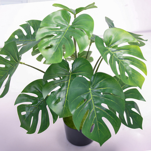 Produttore <span class=keywords><strong>vendita</strong></span> calda di migliore qualità <span class=keywords><strong>piante</strong></span> artificiali monstear alberi di decorazione domestica pianta verde artificiale - Product Image 5