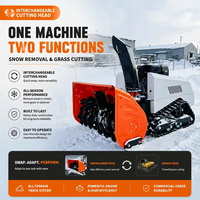 Machine de déblaiement tout-terrain multifonctionnelle à chenilles, de qualité commerciale, robuste, hybride, 15 CV, à essence, avec souffleuse à neige télécommandée