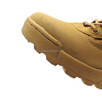 Bottes tactiques Coyote Desert de couleur sur mesure pour hommes Bottes de désert de combat en cuir
