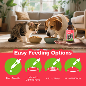 USMILE Suplementos para el Cuidado de la Salud de las Mascotas, Gotas de Vitaminas Líquidas para <span class=keywords><strong>Perros</strong></span>, 21 en 1, Suplementos Multivitamínicos y Vitaminas, Alimento para <span class=keywords><strong>Perros</strong></span> - Product Image 4