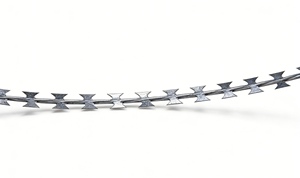 Alambre de Púas Galvanizado en Caliente de Alta Resistencia a la Corrosión BTO-22, Alambre de <span class=keywords><strong>Concertina</strong></span> para Cercas Perimetrales de Alta Seguridad - Product Image 6
