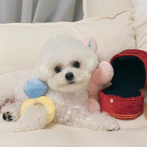 Cute <b>Plush</b> Ring Dog Chew Toy Interactive Pet Toy for Small Dogs Indoor Use Cartoon Style Blue and Yellow Color - Product Image 2