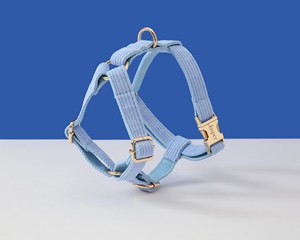 ชุดเชือกจูงสุนัขผ้าลูกฟูกสีฟ้าอ่อนมีสายผูกโบว์ผูกกระเป๋าสำหรับใส่อุจจาระไม่มีสายดึงสำหรับลูกสุนัขเด็กผู้ชาย - Product Image 2