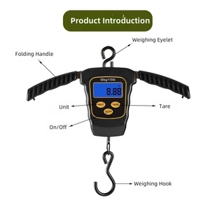 50KG multifonction Portable Mini balance de poisson électronique outil de pesage de pêche accessoire à usage domestique - Product Image 3