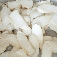 Commerciële automatische machine voor het snijden, in blokjes snijden en raspen van groenten, fruit, kokosnoten en champignons