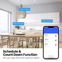 Prise intelligente Wi-Fi Tuya en verre trempé, norme américaine premium, avec surveillance de la consommation d'énergie et commande vocale Alexa pour la maison connectée