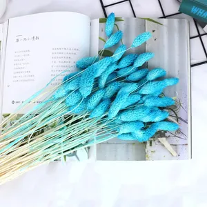 AYOYO - Flores Secas Decorativas al por Mayor para el Hogar, Bodas y Fiestas, 50 Piezas por Ramo, Hierba <span class=keywords><strong>de</strong></span> Joyas, Phalaris - Product Image 1