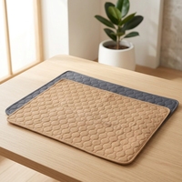 Tapis rafraîchissant extra large pour animaux de compagnie, style moderne et solide, durable, pour chat et chien, couverture pliable, accessoire de canapé, vente en gros