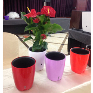Vuelos de macetas de plástico al por mayor de plástico macetas de flores de Color olla - Product Image 5