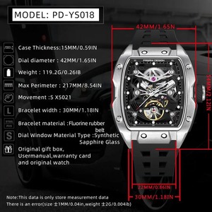 <span class=keywords><strong>Montre</strong></span>-bracelet mécanique automatique de luxe <span class=keywords><strong>pour</strong></span> <span class=keywords><strong>homme</strong></span> PAGANI Design PD-YS018, style squelette, saphir, acier inoxydable, nouvelle mode - Product Image 2