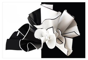 Envoltura de ramo blanco y negro, marco impermeable grueso, acabado mate, regalo de flores coreanas, Material de embalaje, floristas - Product Image 5
