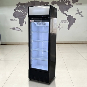 Réfrigérateur Commercial Pepsi pour Boissons, Vitrine Réfrigérée en Acier Inoxydable 201, Sans Givre - Product Image 6