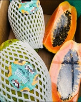 Fabrieksgroothandel Natuurlijk Gedroogd Fruit Competitieve Prijs Gemengde Gedroogde Papaya in Blokjes 10-12mm in Losse Private Label Verpakking AD