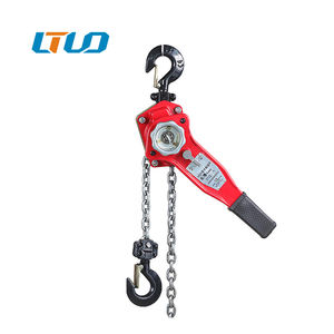 Sıcak satış 0.75 Ton HSH tipi ceraskal blok hafif görev G80 zincir kaldırma aracı garajlar ve depolar için - Product Image 3