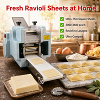 Machine à presser la pâte à raviolis électrique, machine à fabriquer des feuilles de pâtes italiennes 3000-3600 pièces/h pour la cuisine à domicile et les restaurants de pâtes