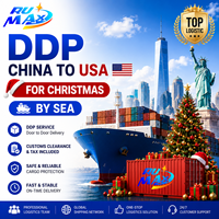 Trasporto Marittimo Professionale dalla Cina alla Francia, Logistica DDP per la Stagione Natalizia