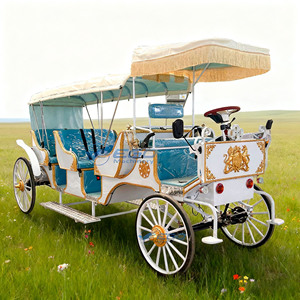 Produttori di prezzi all'ingrosso carrozza turistica reale turismo turismo carrello elettrico trasporto speciale per la vendita - Product Image 1