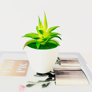 Planta Suculenta Artificial Qi Xing en Maceta de 13 cm, PVC Suave, Decoración para el Hogar - Product Image 1