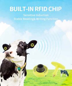 Nueva Etiqueta de oreja de animal RFID resistente al agua 134,2 kHz para identificación y seguimiento de cerdos, novedad de 2017 - Product Image 3