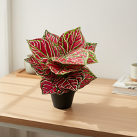 Plantes artificielles de Coleus rose et vert de style moderne, feuilles de pomme, fausse verdure colorée pour la décoration de bureau moderne