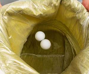 Sac en polypropylène, sac en plastique tissé en PP, sacs en raphia pour l'agriculture, sacs en PP pour ensilage de 25 kg et 50 kg pour le stockage - Product Image 5