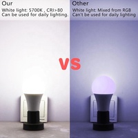 Ampoule LED RGB à changement de couleur 16 couleurs E27 Ampoules RGBW 5W/10W/15W A60 A70 Lampes globe avec télécommande IR pour la décoration de la maison