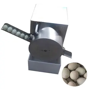 2300 pcs/h Egg Brush Washer Poultry Egg Cleaning Machine Hen Egg Washing Machine