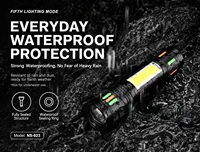 Lampe torche LED étanche 1000 lumens avec batterie 18650, corps en alliage d'aluminium, pour camping, patrouille et sécurité extérieure d'urgence