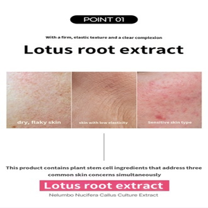 CREMA PARA OJOS CON CÉLULAS ESTRÉLLICAS, EGF Y RETINOL - Crema Intensiva Antienvejecimiento para las Arrugas Debajo de los Ojos, las Ojeras y la Reparación de la Piel - Product Image 6