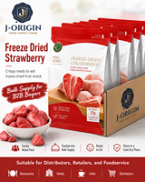 Gefreeze-droogde aardbeien knapperige fruitsnack 22g 24 zakjes 3 seconden klaar OEM Private Label 12 maanden houdbaarheid Gemaakt in Fujian, China
