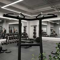 Máquina de Dominadas Ajustable de Acero para Gimnasio Comercial, Equipo de Fitness para Entrenamiento de Espalda, Pecho, Piernas y Brazos
