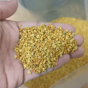 Granulés de <span class=keywords><strong>pollen</strong></span> de maïs 100% pur et naturel |   Produit alimentaire riche en protéines et en vitamines |   Approvisionnement en gros - Product Image 3