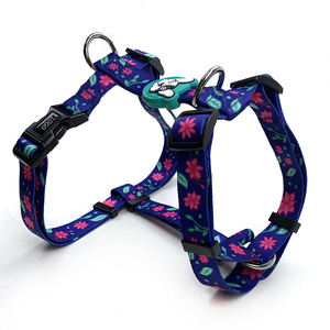 Fabrik-Großhandel Anpassbares Verstellbares Hundegeschirr Haustierprodukte Modernes Design Komfortabel 2025 Beliebt - Product Image 3