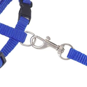 Collar Ajustable para Gatos al por Mayor, Arnés de Nailon Cómodo para Gatos, Juego de Correa para Gatitos y Conejos - Product Image 4