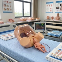 Modèle anatomique avancé pour la formation complète aux compétences de naissance, accouchement fœtal, enseignement en sage-femme, maternité CE/ROHS/ISO