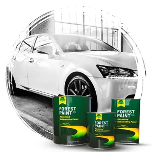 China Vehicle Paint Supplier Factory Price Mirror Effect 2k Topcoat Car Color Repair Treatment Spray Paint and Varnish