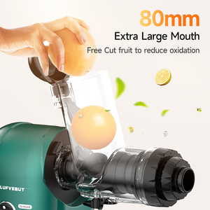 LUFVEBUT Commercial Multi-function 2-in-1 3-in-1 One-stop Kitchen Appliance Korea Slow Juicer Extractor with Coffee Grinding - Product Image 4