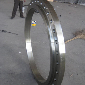 Brida de acero inoxidable A182 F316L de 10 300 RF, tipo slip-on, ANSI Clase 150, con ojo de visión (blind flange) según ASME B16.5 - Product Image 6