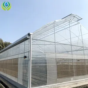 MYXL 저렴한 가격 농업 수경 그린 하우스 제조 멀티 스팬 온실 프레임