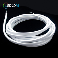 Tira de Luz LED de Neón Flexible Personalizada al por Mayor, 12*12mm 16*16mm 20*20mm, Impermeable IP67, de Silicona