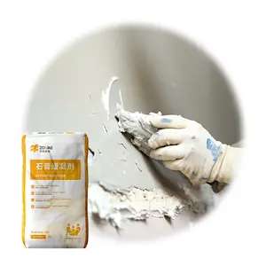 Hot Selling Gypsum Retarder Powder Used For Cement And Gypsum Based Products