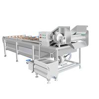 Industriële, volautomatische fruit- en groentewasmachine, droger en reiniger met aanpasbare motor, commerciële wasmachine van SUS304