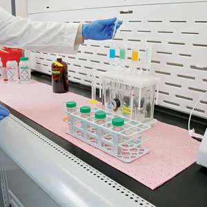 NUEVOS PRODUCTOS ABSORBENTES PIG-MAT309-EAN 036226009381 - Product Image 2