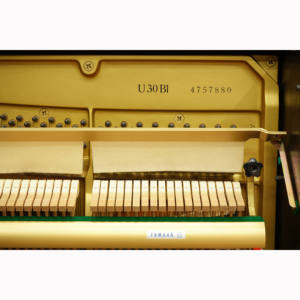 Chất Lượng Cao Sử Dụng Thẳng Đứng Cung Cấp Instrumentos Musicais Piano - Product Image 2