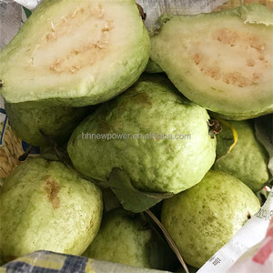 Automatic Grape Squeezing <b>Machine</b> 800 mm Ice Grape <b>Juice</b> Making <b>Machine</b> Wine Making Equipment, Grape Pressing <b>Machine</b> - Product Image 4