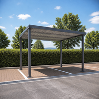 Abri de voiture individuel gris foncé avec structure galvanisée, petit abri de jardin extérieur, auvent de carport pour allée de maison