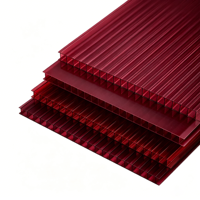 Panneau solaire en polycarbonate à double paroi UV Shield, coloré, pour gazebo, abri de voiture, serre à légumes, couverture de toit légère