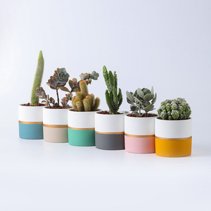 Vaso da fiori in ceramica per interni pianta fioriera verde smaltata set di decorazioni per la casa succulenta <span class=keywords><strong>Cactus</strong></span> vasi da fiori oro minimalista 2 pz - Product Image 4